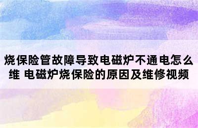 烧保险管故障导致电磁炉不通电怎么维 电磁炉烧保险的原因及维修视频